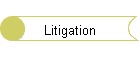 Litigation