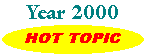 Hot Topic - Year 2000 Problem