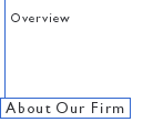 About Our Firm