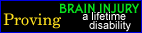 [Brain Injury: Proving a Lifetime Disability]